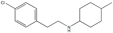 N-[2-(4-chlorophenyl)ethyl]-4-methylcyclohexan-1-amine Struktur