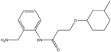 N-[2-(aminomethyl)phenyl]-3-[(3-methylcyclohexyl)oxy]propanamide Struktur