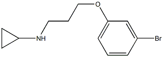 N-[3-(3-bromophenoxy)propyl]cyclopropanamine Struktur