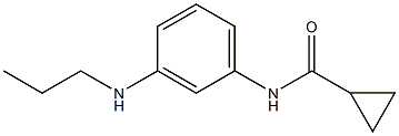 N-[3-(propylamino)phenyl]cyclopropanecarboxamide Struktur