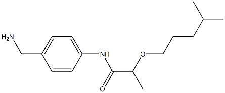 N-[4-(aminomethyl)phenyl]-2-[(4-methylpentyl)oxy]propanamide Struktur