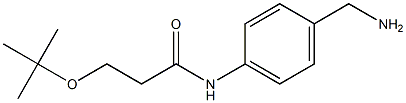 N-[4-(aminomethyl)phenyl]-3-(tert-butoxy)propanamide Struktur