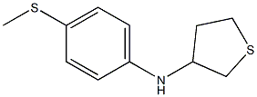 N-[4-(methylsulfanyl)phenyl]thiolan-3-amine Struktur