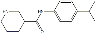 N-[4-(propan-2-yl)phenyl]piperidine-3-carboxamide Struktur