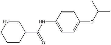 N-[4-(propan-2-yloxy)phenyl]piperidine-3-carboxamide Struktur