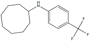 N-[4-(trifluoromethyl)phenyl]cyclooctanamine Struktur