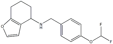 N-{[4-(difluoromethoxy)phenyl]methyl}-4,5,6,7-tetrahydro-1-benzofuran-4-amine Struktur