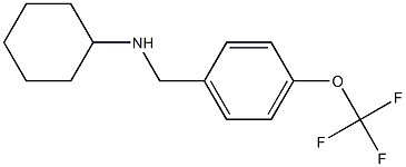 N-{[4-(trifluoromethoxy)phenyl]methyl}cyclohexanamine Struktur