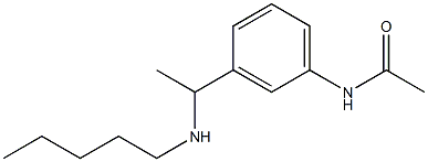 N-{3-[1-(pentylamino)ethyl]phenyl}acetamide Struktur