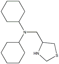 N-cyclohexyl-N-(1,3-thiazolidin-4-ylmethyl)cyclohexanamine Struktur