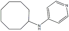 N-cyclooctylpyridin-4-amine Struktur