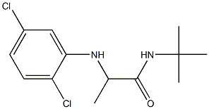 N-tert-butyl-2-[(2,5-dichlorophenyl)amino]propanamide Struktur