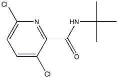 N-tert-butyl-3,6-dichloropyridine-2-carboxamide Struktur