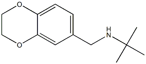 tert-butyl(2,3-dihydro-1,4-benzodioxin-6-ylmethyl)amine Struktur