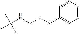 tert-butyl(3-phenylpropyl)amine Struktur