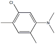 N-(5-chloro-2,4-dimethylphenyl)-N,N-dimethylamine Struktur