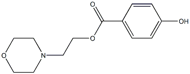 2-(4-morpholinyl)ethyl 4-hydroxybenzoate Struktur