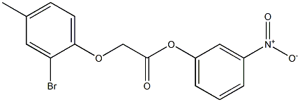 3-nitrophenyl 2-(2-bromo-4-methylphenoxy)acetate Struktur