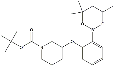 tert-Butyl 3-[2-(4,4,6-trimethyl-1,3,2-dioxaborinan-2-yl)phenoxy]piperidine-1-carboxylate Struktur