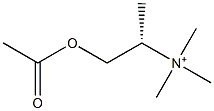 Trimethyl[(1S)-2-acetoxy-1-methylethyl]aminium Struktur