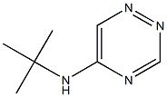 5-(tert-Butylamino)-1,2,4-triazine Struktur