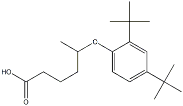 5-(2,4-Di-tert-butylphenoxy)hexanoic acid Struktur