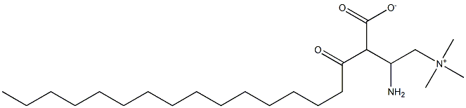 DL-Palmitoylaminocarnitine Struktur