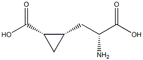 (1S,2S)-2-[(R)-2-Amino-2-carboxyethyl]cyclopropane-1-carboxylic acid Struktur