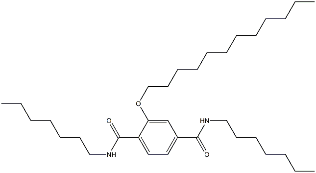 2-(Dodecyloxy)-N,N'-diheptylterephthalamide Struktur