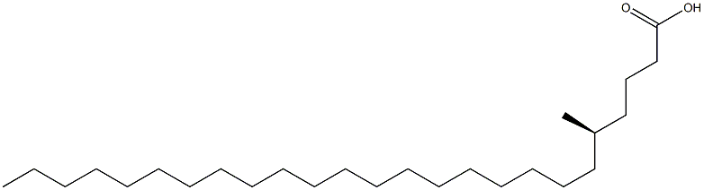 [R,(+)]-5-Methylpentacosanoic acid Struktur