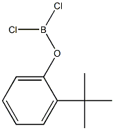 (2-tert-Butylphenoxy)dichloroborane Struktur