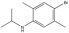 N-Isopropyl-4-bromo-2,5-dimethylbenzenamine Struktur