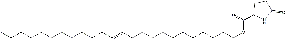 (S)-5-Oxopyrrolidine-2-carboxylic acid 12-tetracosenyl ester Struktur