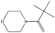 4-(1-Methylene-2,2-dimethylpropyl)morpholine Struktur