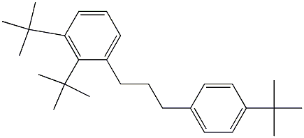 1-(2,3-Di-tert-butylphenyl)-3-(4-tert-butylphenyl)propane Struktur