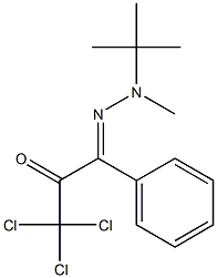 1-[2-Methyl-2-(tert-butyl)hydrazono]-1-phenyl-3,3,3-trichloro-2-propanone Struktur