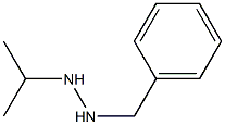 1-Benzyl-2-isopropylhydrazine Struktur