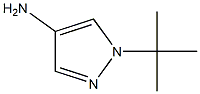 4-AMINO-1-tert-Butyl-1H-PYRAZOLE Struktur