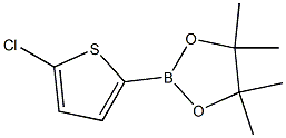 2-(5-chlorothiophen-2-yl)-4,4,5,5-tetramethyl-1,3,2-dioxaborolane Struktur