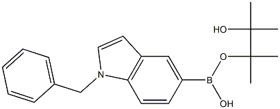 1-Benzylindole-5-boronic acid pinacol ester, 95% Struktur