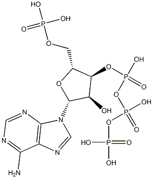 phospho-ABCA1 (Ser2054) Struktur