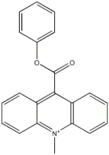 10-methyl-9-(phenoxycarbonyl)acridinium Struktur