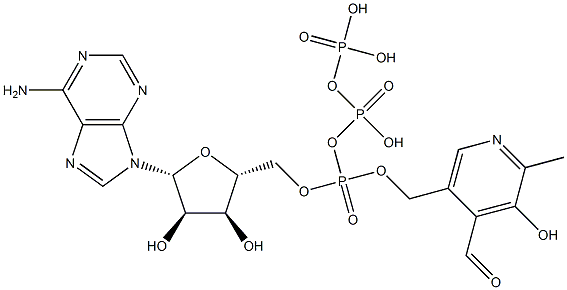 pyridoxal 5'-triphosphoadenosine Struktur