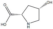 4-CIS-HYDROXY-L-PROLINE Struktur