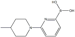 6-(4-METHYLPIPERIDIN-1-YL)PYRIDINE-2-BORONIC ACID Struktur