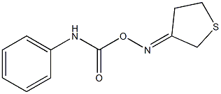 3-{[(anilinocarbonyl)oxy]imino}tetrahydrothiophene Struktur