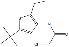 N1-[5-(tert-butyl)-2-ethyl-3-thienyl]-2-chloroacetamide Struktur