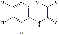 N1-(2,3,4-trichlorophenyl)-2,2-dichloroacetamide Struktur