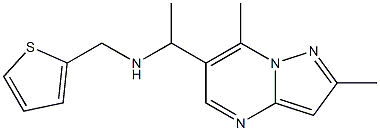 (1-{2,7-dimethylpyrazolo[1,5-a]pyrimidin-6-yl}ethyl)(thiophen-2-ylmethyl)amine Struktur