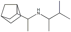 (1-{bicyclo[2.2.1]heptan-2-yl}ethyl)(3-methylbutan-2-yl)amine Struktur